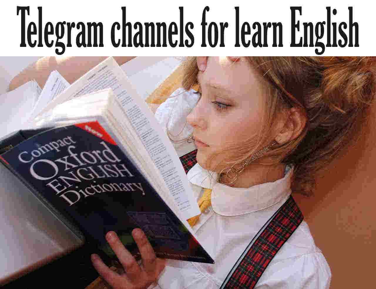 23 Best Telegram Channels Groups To Learn English Telegrampapa